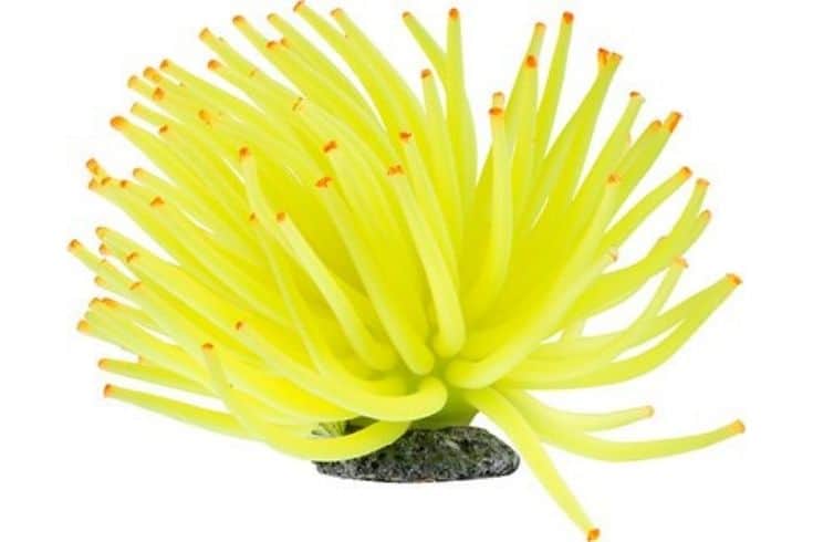 GloFish Aquarium Anemone Ornament