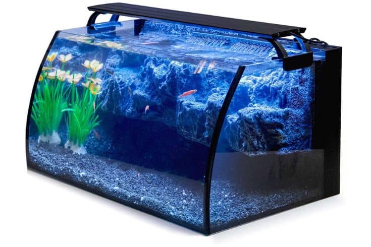 Hygger Horizon 8 Gallon LED Glass Aquarium Kit