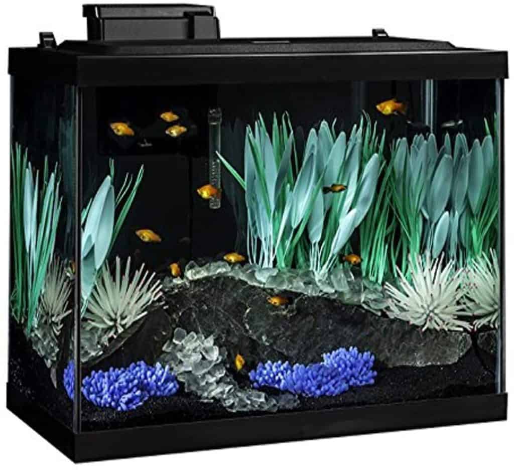 Tetra ColorFusion Aquarium 20 Gallon Fish Tank Kit, Includes LED Lighting and Decor