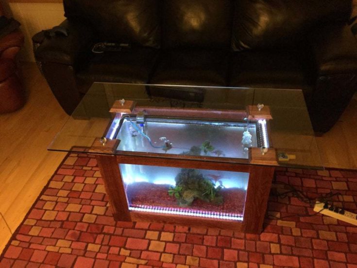 Fish Tank Coffee Table