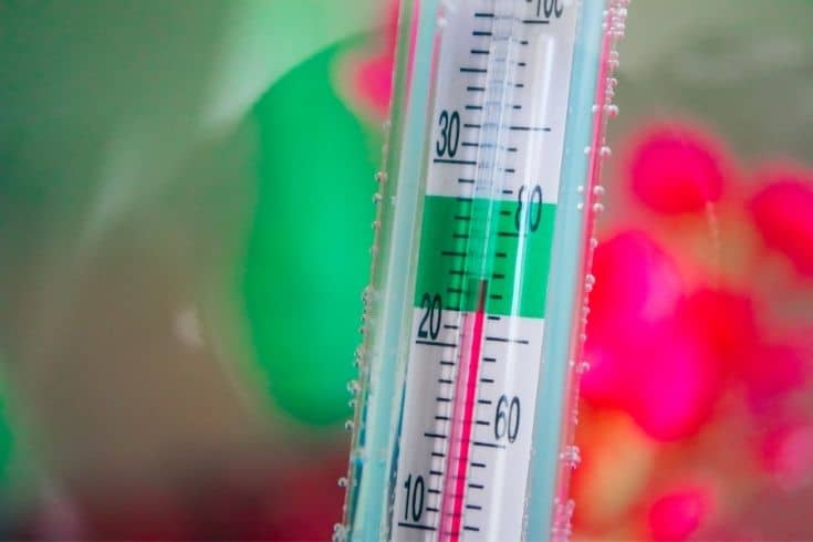 Aquarium thermometer measures water in fish tank.