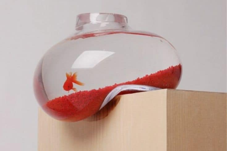 Balanced fish bowl