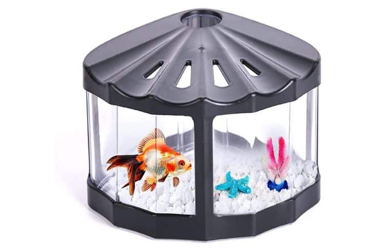 Aquarium-Betta Fish Bowl Goldfish Set Beta Fish Tank Aquarium for Crab Turtle Reptile Jellyfish Shrimp Algae Insects